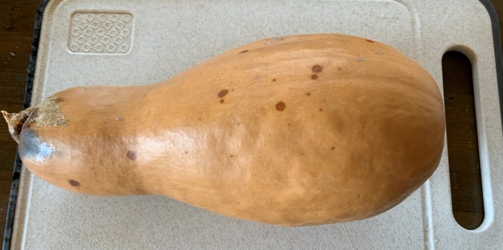 Natridy生ゴミ処理機　カボチャ